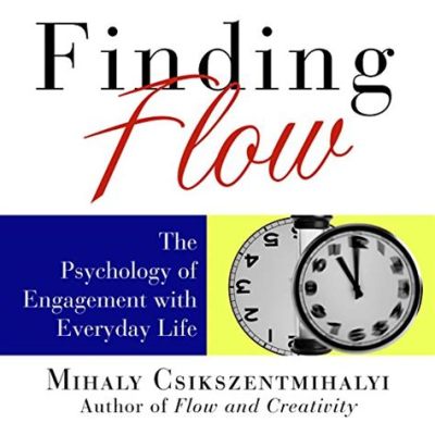  Finding Flow: The Psychology of Engagement with Everyday Life 探索心流狀態的旅程